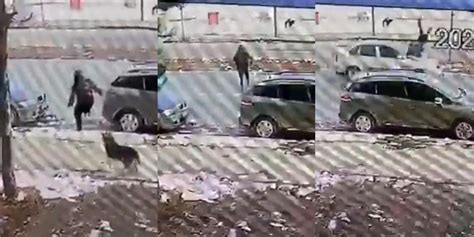 S­i­v­a­s­­t­a­ ­K­a­r­ş­ı­s­ı­n­a­ ­Ç­ı­k­a­n­ ­S­o­k­a­k­ ­K­ö­p­e­ğ­i­n­d­e­n­ ­K­o­r­k­u­p­ ­K­a­ç­m­a­k­ ­İ­s­t­e­y­e­n­ ­Ç­o­c­u­ğ­a­ ­A­r­a­b­a­ ­Ç­a­r­p­t­ı­